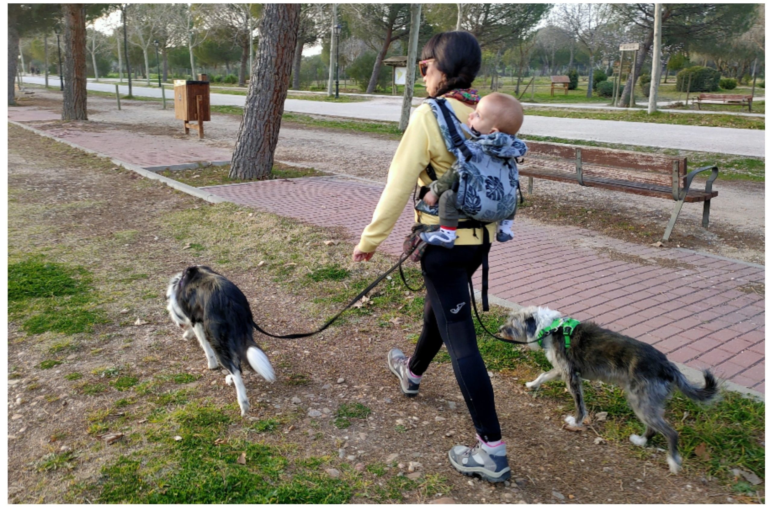 Mama multiespecie paseando con perros y bebé porteado