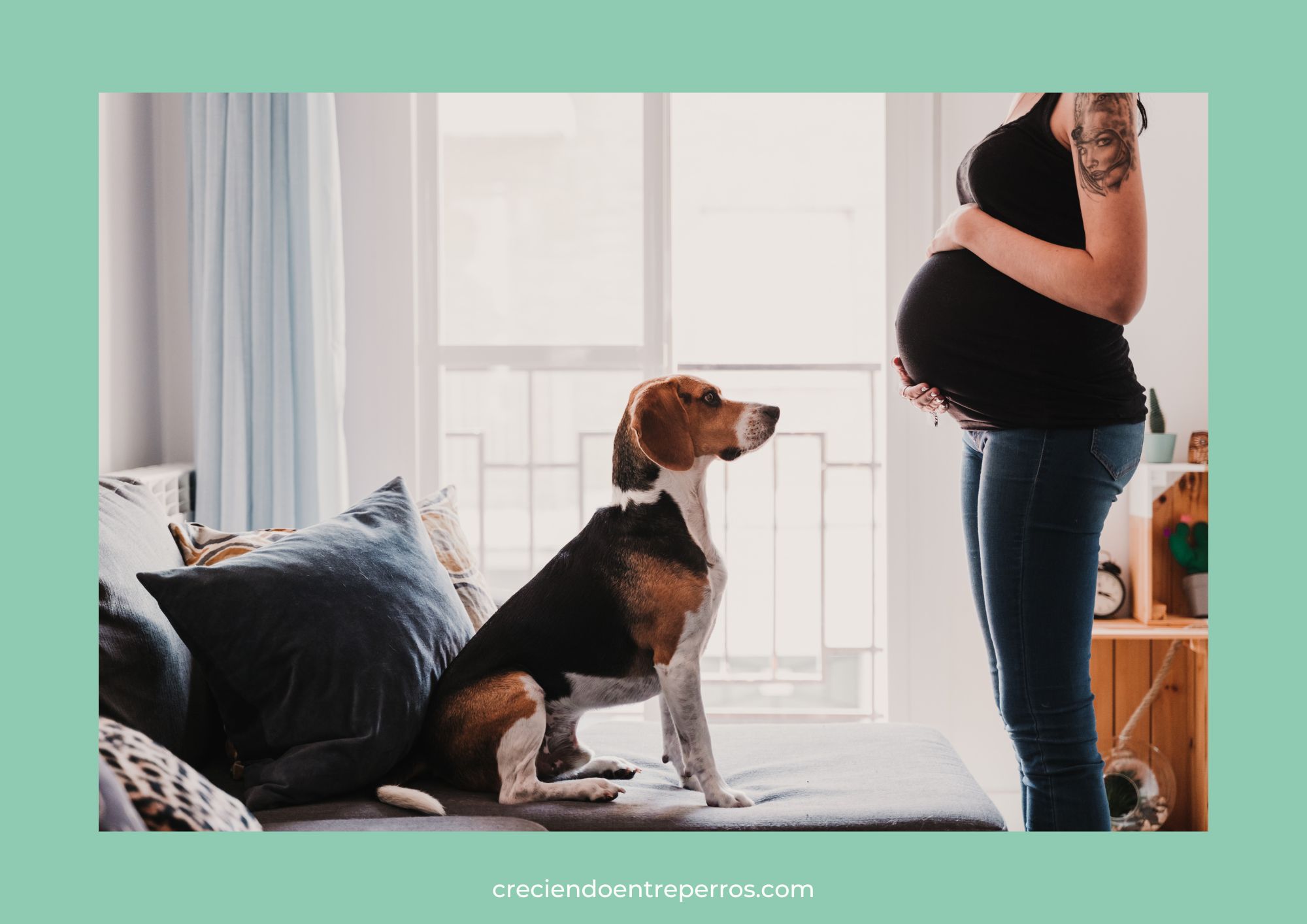 embarazada-y-perro-como-presentar-bebe-perro-