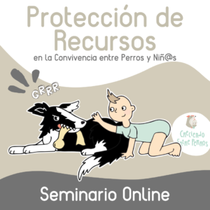 Seminario Protección de Recursos entre Perros y Niñ@s