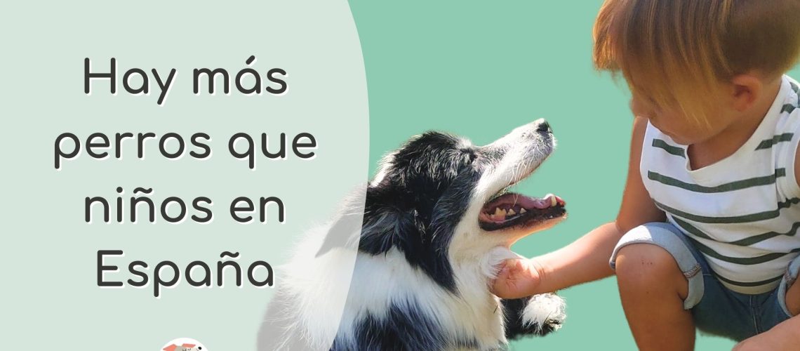 hay más perros que niños en España - creciendoentreperros (5)