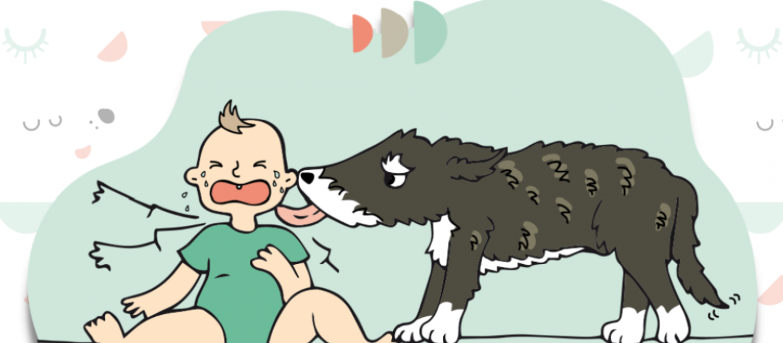 qué significa cuando el perro lame al bebé