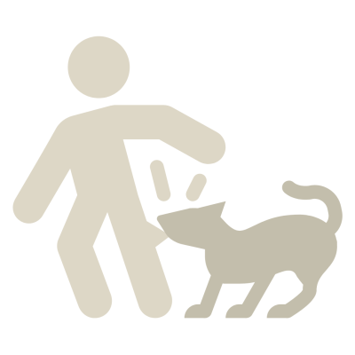 mi perro persigue y muerde a mi hijo los niños - creciendo entre perros crianza multiespecie educacion canina con niños (2)