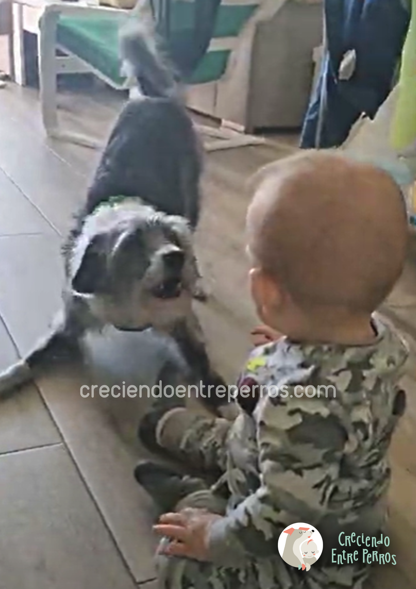 perro incómodo con bebé