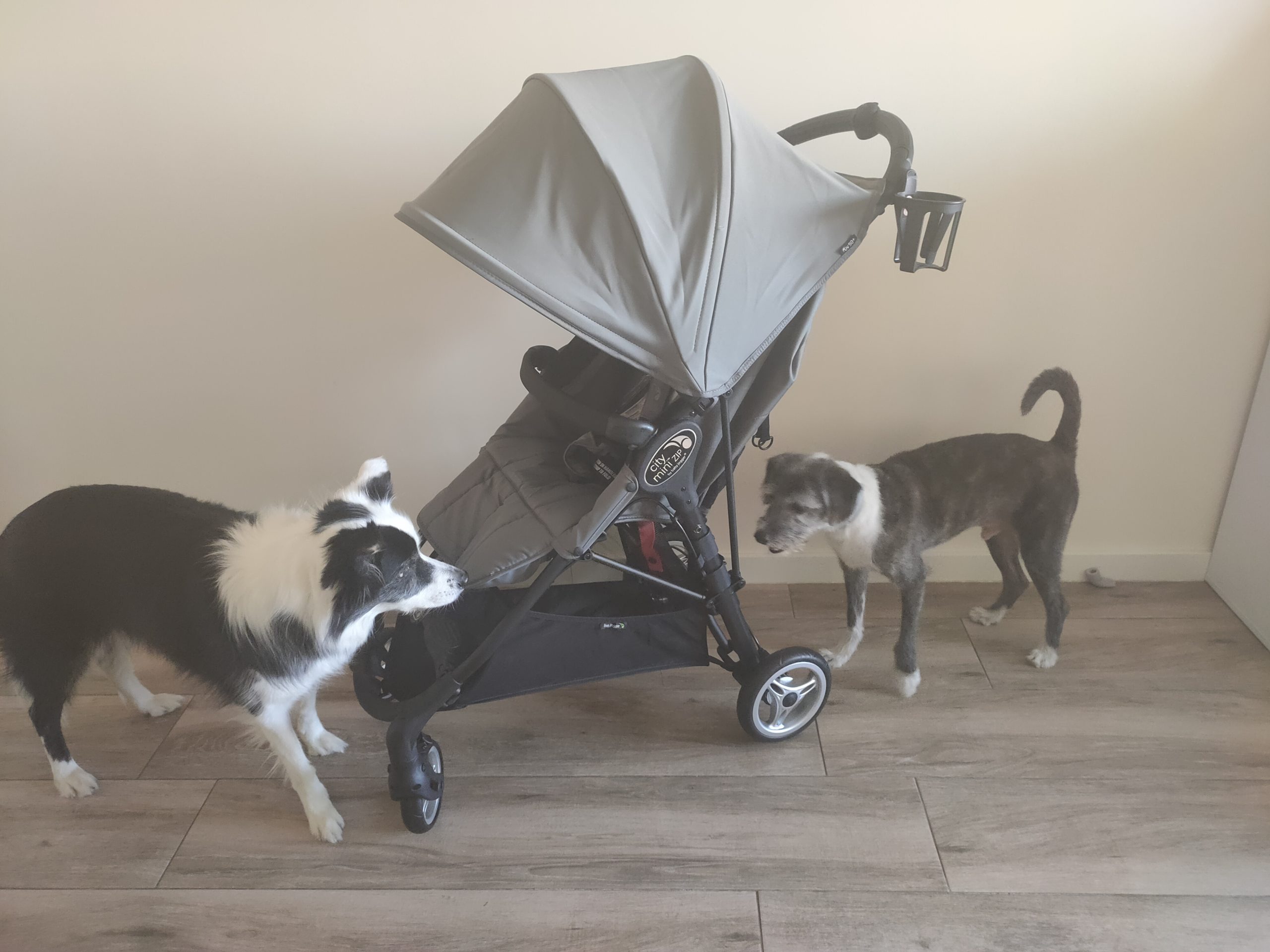 carro-perro-preparar-perro-llegada-bebe